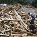 Kayu Gelondongan Di Sulap Jadi Hunian Sementara Di Aceh