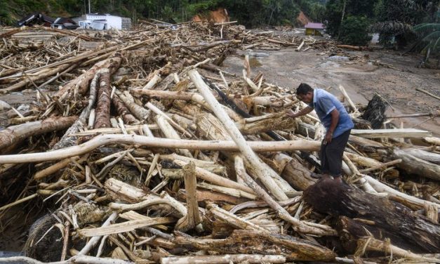Kayu Gelondongan Di Sulap Jadi Hunian Sementara Di Aceh