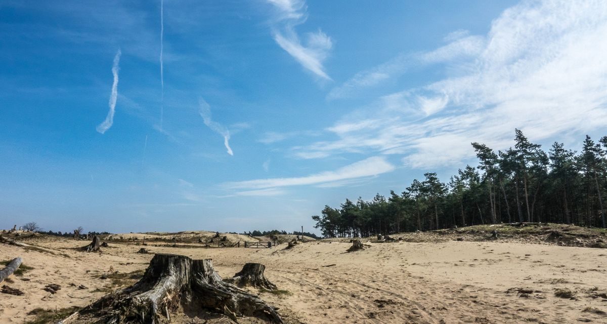 Awas! Alih Fungsi Lahan Picu Wabah Baru Ke Manusia