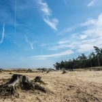 Awas! Alih Fungsi Lahan Picu Wabah Baru Ke Manusia