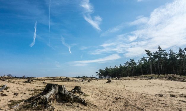 Awas! Alih Fungsi Lahan Picu Wabah Baru Ke Manusia