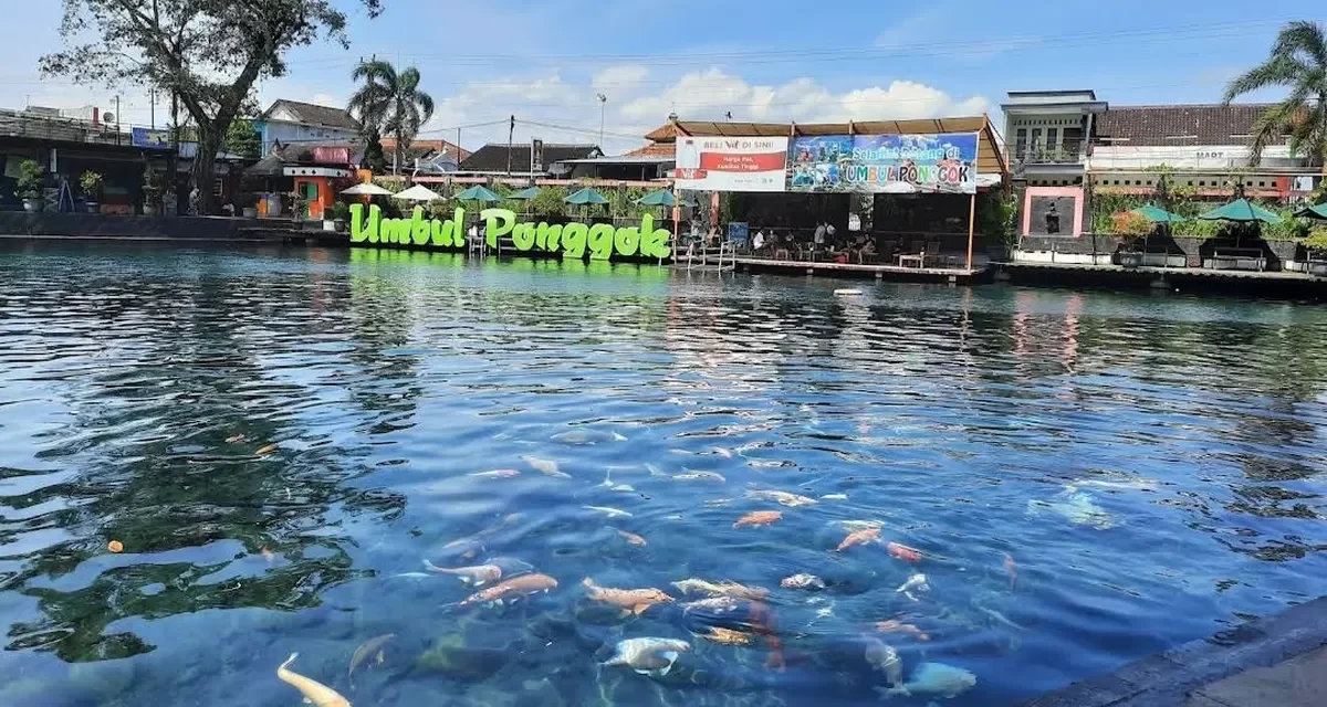 Umbul Ponggok: Dari Desa Biasa Jadi Kebanggaan DPR