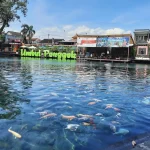 Umbul Ponggok: Dari Desa Biasa Jadi Kebanggaan DPR