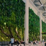 4 Bandara Terbaik Indonesia, Soetta Masuk?