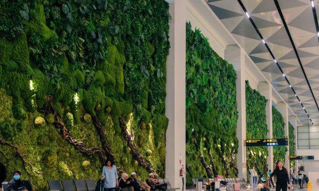 4 Bandara Terbaik Indonesia, Soetta Masuk?